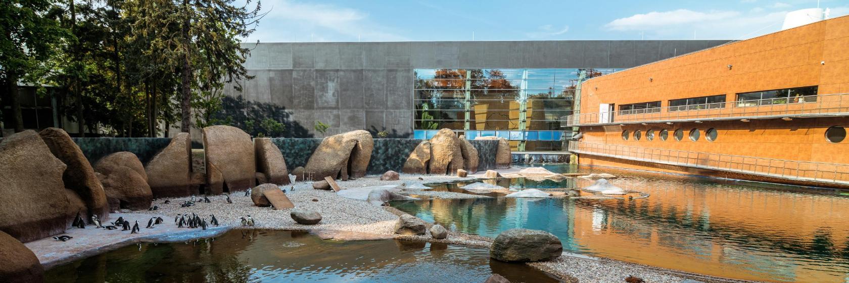 Jardin zoologique de Wrocław